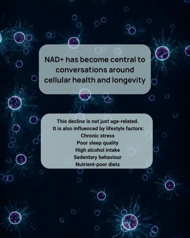 NAD+ 🫧🧬