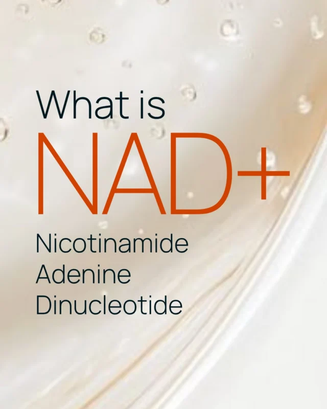 NAD+ 🧬