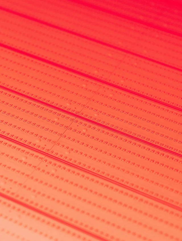 Recovery looks good in red ❤️‍🔥

Red light therapy is the perfect addition to your recovery routine — supporting muscle recovery, circulation, energy, skin health and overall wellbeing.

Take 20 minutes to switch off, recharge and let the red light do its thing.