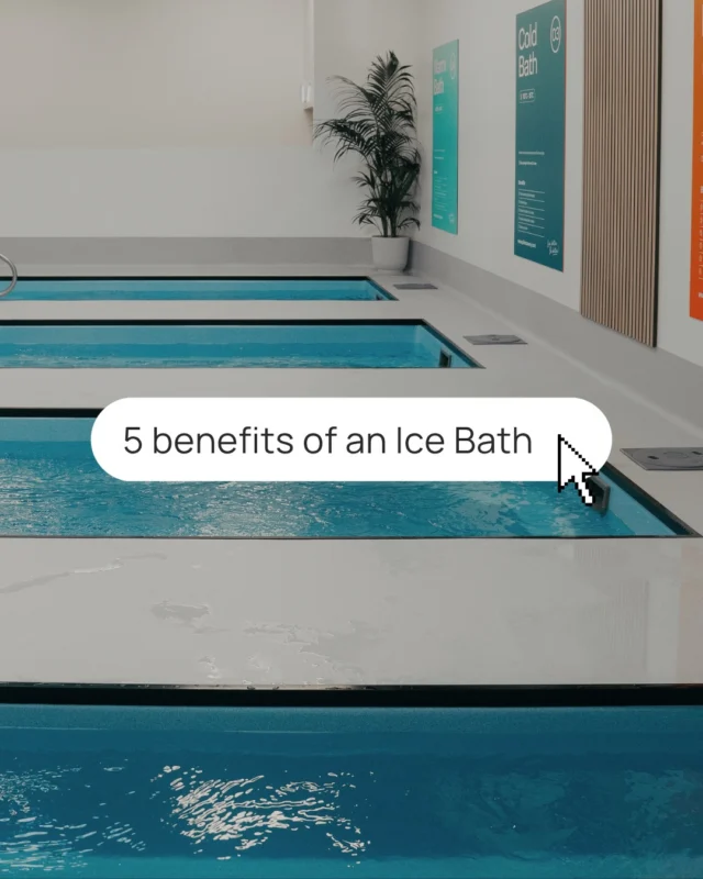 Post workout recovery 
Stress relief 
Promote circulation 
Mental clarity 
Feel your best 

Just a few reasons why you should incorporate an ice bath into your routine.

Not just for elite athletes there are so many factors on how taking the plunge can help you live your best life!